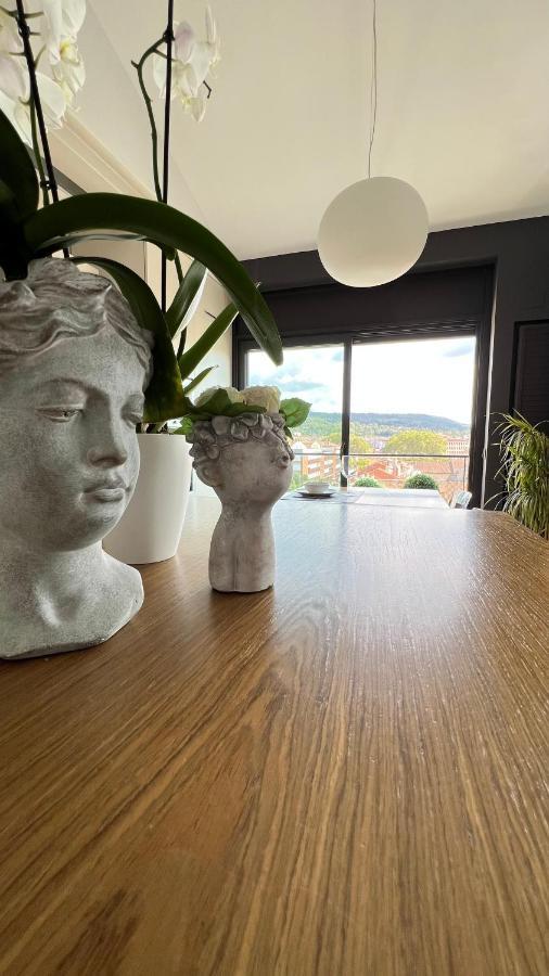 Atico De Diseno Con Terraza En El Centro De Olot Apartment Luaran gambar