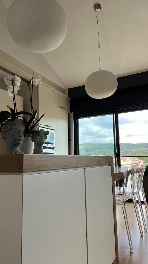 Atico De Diseno Con Terraza En El Centro De Olot Apartment Luaran gambar