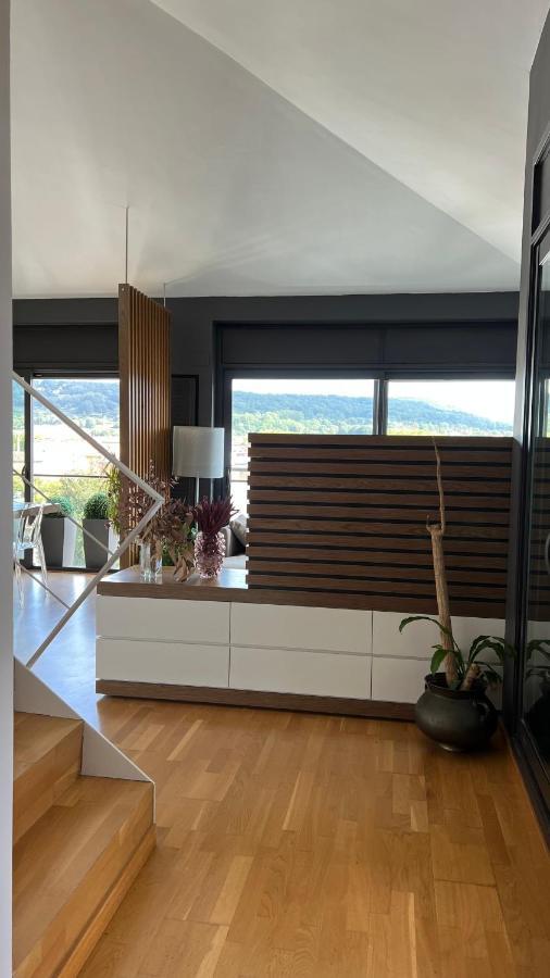 Atico De Diseno Con Terraza En El Centro De Olot Apartment Luaran gambar
