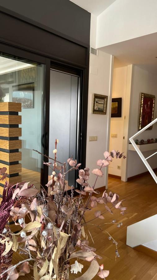 Atico De Diseno Con Terraza En El Centro De Olot Apartment Luaran gambar