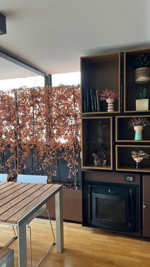 Atico De Diseno Con Terraza En El Centro De Olot Apartment Luaran gambar
